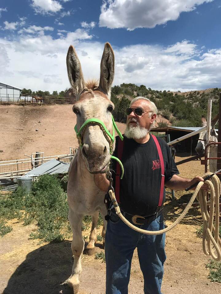 Home | Centinela Mammoth Donkey Reserve